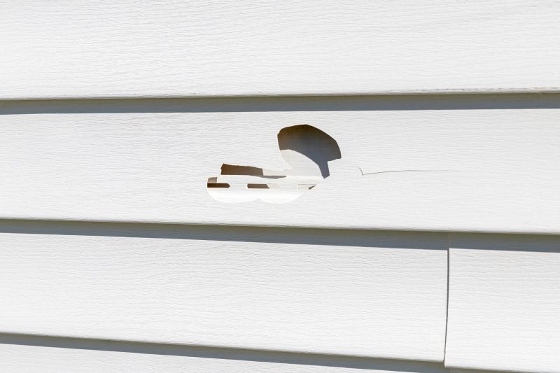 Patch Repair on Vinyl Siding